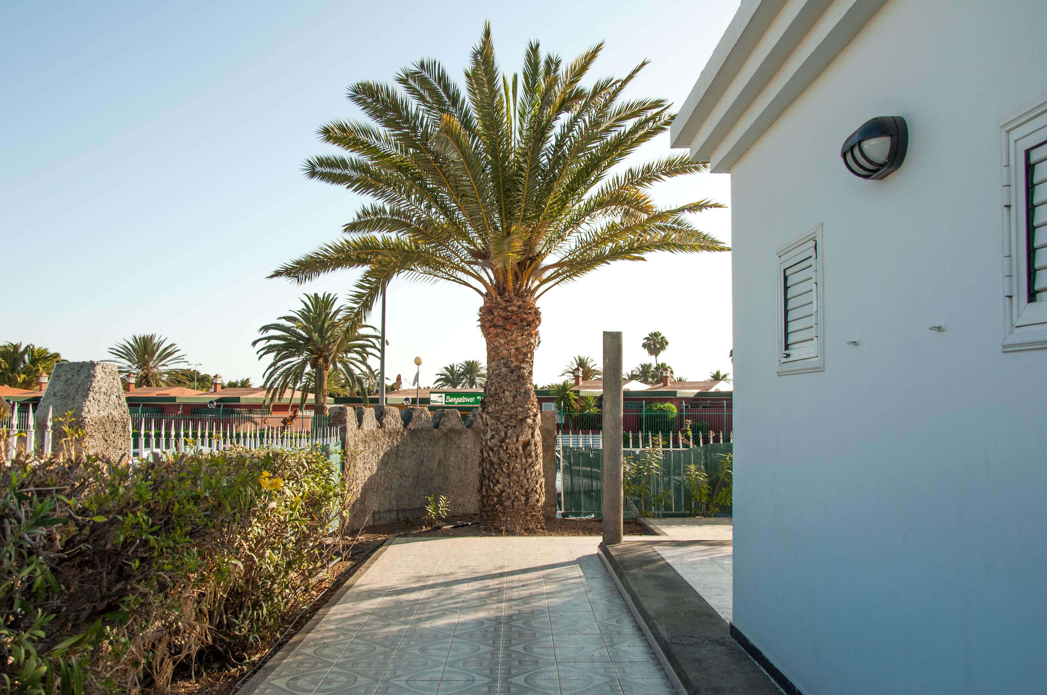 Bungalows Las Almenas Maspalomas  Esterno foto