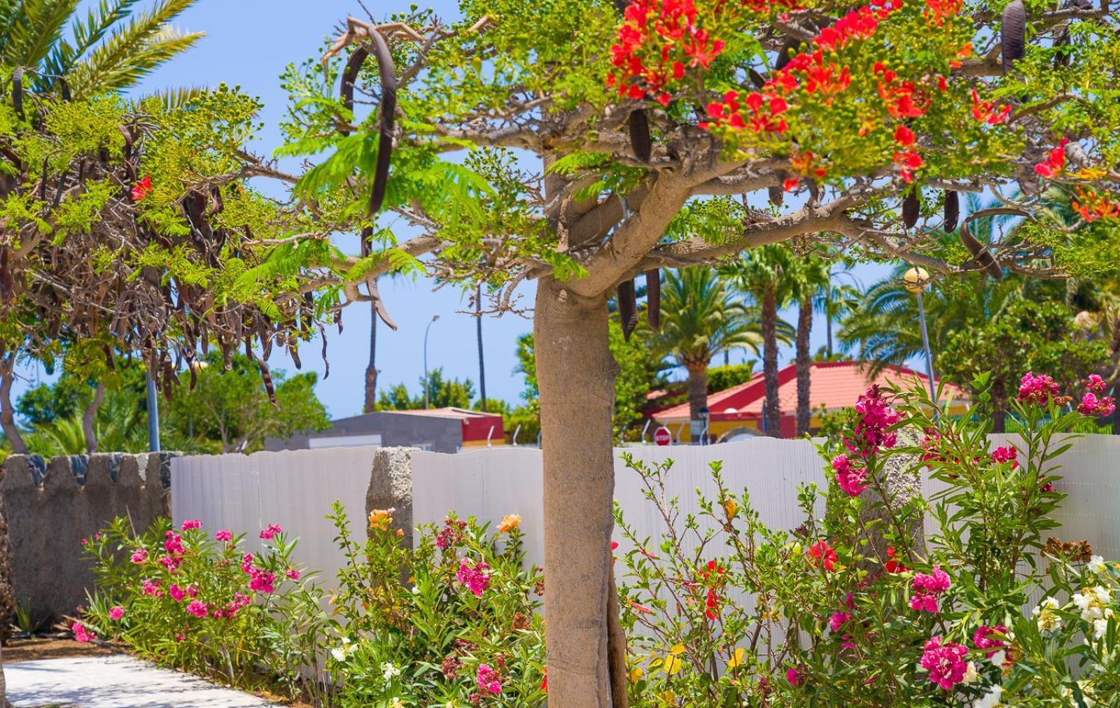 Bungalows Las Almenas Maspalomas  Esterno foto